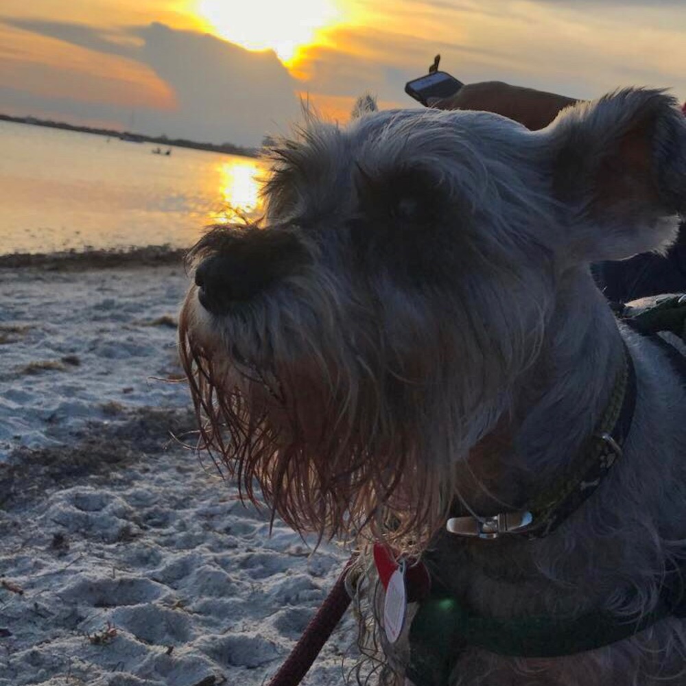 Meet your Posher, Linda